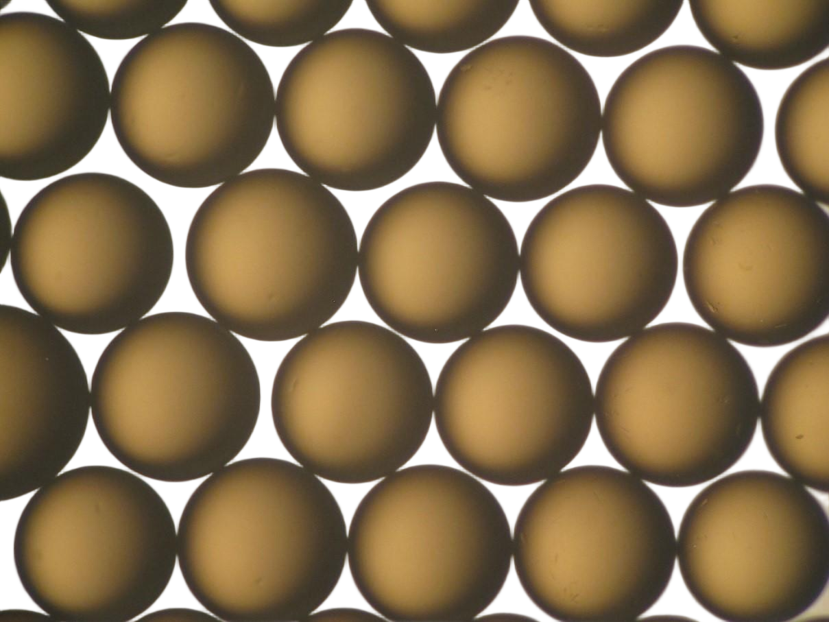 杜邦? AmberLite? HPR1200 H陽(yáng)離子交換樹脂